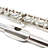 Haynes Piccolo #35664 - Solid Silver, Soldered Toneholes, Key of C