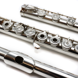 Haynes Custom #41191 - Solid silver, inline G, B footjoint