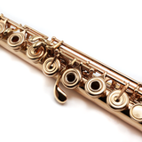 Haynes Custom #52761 - 14K gold, offset G, split E Mechanism, C# trill key, D# roller, B footjoint, 18K gold riser