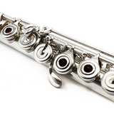 Haynes Custom Flute #53487 - Fusion-Inside, Offset G, Split E Mechanism, C# Trill Key, B Footjoint