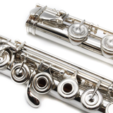 Haynes Custom #53663 - Fusion-Inside, Offset G, Split E Mechanism, C# Trill Key, D# Roller, B Footjoint, No Headjoint