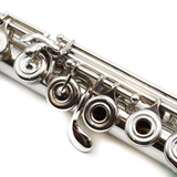 Haynes Custom #53663 - Fusion-Inside, Offset G, Split E Mechanism, C# Trill Key, D# Roller, B Footjoint, No Headjoint