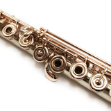 Haynes Custom #53730 - 14K white gold, offset G, C# trill key, B footjoint