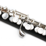 Haynes Piccolo Q-Series P6 - Grenadilla Wood - New