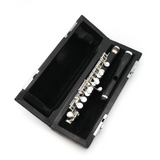 Haynes Piccolo Q-Series P6 - Grenadilla Wood - New