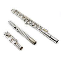 Ignite Beginner Flute Model 1SP - New