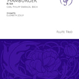 Sonata in G Major 'Hamburger' (Two Flutes and Bass Flute)