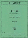 Trio in G Major, Op. 24 (Three Flutes)