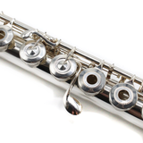Miyazawa Classic II n.° 18936 - Plata de ley, Sol en línea, articulación de pie Si