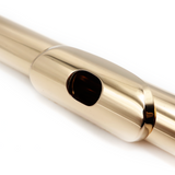 Tête de platine Miyazawa n° H0099 - Or 14 carats, coupe MZ-10