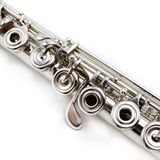Nagahara Flute #1372 - 950 silver, offset G, split E mechanism, C# trill key, D# roller, B footjoint, 14K gold riser