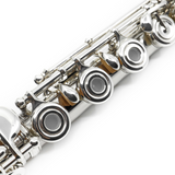 Open-Hole Flute Plugs (set of 5)