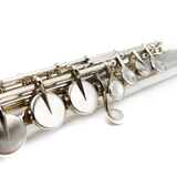 Pearl Alto 201 #14108 - Sterling Silver Lip Plate and Riser, Straight and Curved Headjoints