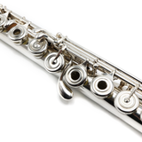 Powell Custom #13946 - Sterling Silver, Offset G, C# Trill Key, B Footjoint, 14K Gold Lip Plate and Riser