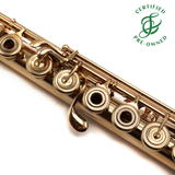 Powell Custom #14182 - 14K gold flute, inline G, C# trill key, D# roller, B footjoint, no headjoint