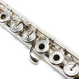 Powell Custom Flute #216 - Sterling Silver, Inline G, C Footjoint, Thin Wall