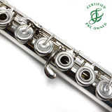 Powell Custom #2757 - Sterling silver flute, inline G, B footjoint, 14K gold lip plate and riser