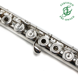 Powell Custom #5678 - Sterling silver flute, inline G, B footjoint