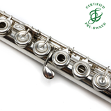 Powell Custom #6596 - Sterling silver, inline G, B footjoint