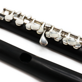Powell Piccolo #7722 - Grenadilla wood