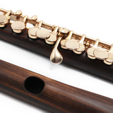 Powell Custom Piccolo #8425 - Kingwood, 14K Gold Mechanism