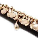 Powell Custom Piccolo #8425 - Kingwood, 14K Gold Mechanism