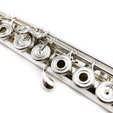 Powell Custom Flute #8747 - Sterling Silver, Inline G, Split E Mechanism, C# Trill Key, B Footjoint, Gold Lip Plate and Riser