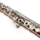 Verne Q. Powell Handmade Custom Flute in 9K Aurumite - New (Custom Order)