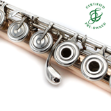 Powell Conservatory #CHM-0197 - 9K Aurumite Flute, inline G, B footjoint