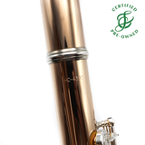 Powell Conservatory 9K Aurumite #HC-4397 - 9K Aurumite tubing, offset G, B footjoint, 14K gold wings