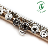 Powell Conservatory 9K Aurumite #HC-4397 - 9K Aurumite tubing, offset G, B footjoint, 14K gold wings