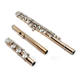 Powell Conservatory #HC-5179 - 9K Aurumite, Offset G, Split E Mechanism, C# Trill Key, D# Roller, B Footjoint