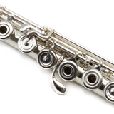 Powell Conservatory #HC-5977 - Sterling Silver, Offset G, C# Trill Key, B Footjoint, 14K Gold Riser