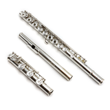 Powell Signature #SIG-0044 - Plata esterlina, unión de pie en G y B en línea