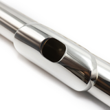 Powell Signature #SIG-0044 - Plata esterlina, unión de pie en G y B en línea