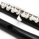Resona Piccolo #15091 - Grenadilla wood, split E mechanism, custom Burkart headjoint