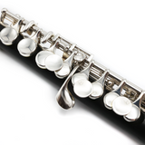 Resona Piccolo #15091 - Grenadilla wood, split E mechanism, custom Burkart headjoint