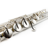 Sankyo Alto 201 #GN612 - Sterling Silver Straight Headjoint
