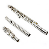 Sealos Flute #179 - Solid Silver Tubing, Inline G, C Footjoint