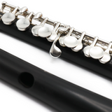 Seaman Piccolo #445 - Grenadilla Wood