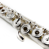 Trevor James Privilege #216361 - Sterling Silver Lip Plate and Riser, Offset G, B Footjoint