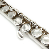 Trevor James 10XC2 Flute #70990 - Silver Plated, Curved and Straight Headjoints