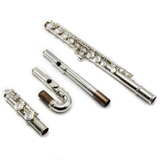 Trevor James Model 10XC2 #87742 - Silver-Plated, Closed Holes, C Footjoint