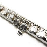 Trevor James Model 10XC2 #87742 - Silver-Plated, Closed Holes, C Footjoint