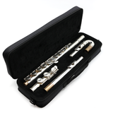 Trevor James Model 10XC2 #87742 - Silver-Plated, Closed Holes, C Footjoint
