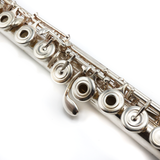 Trevor James Virtuoso #M2034 - Sterling silver tube, silver-plated mechanism, offset G, split E mechanism, B footjoint