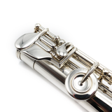 Tom Green Flute #282264 - Solid Silver, Offset G, Split E Mechanism, C# Trill Key, B Footjoint, Platinum Riser, Engraved Lip Plate and Crown