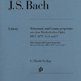 Musical Offering in C minor, BWV 1079 (Flute, Violin, and Continuo)