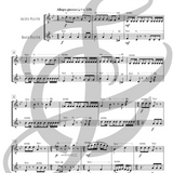 Vicuña (flûte alto et flûte basse)