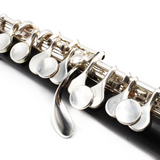 Yamaha Piccolo 82 - Grenadilla Wood, Split E Mechanism, Two Headjoints